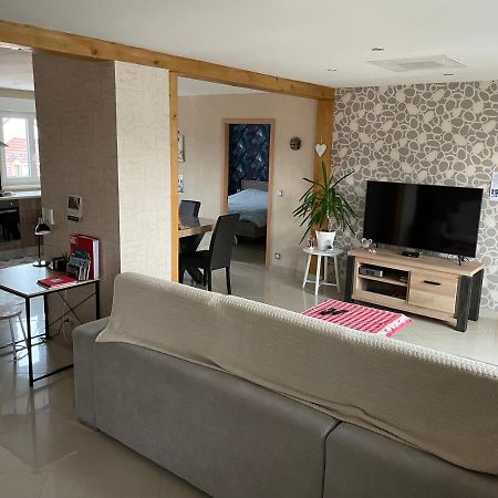 Appartements Centre Ville Colmar 4 Familles Dış mekan fotoğraf