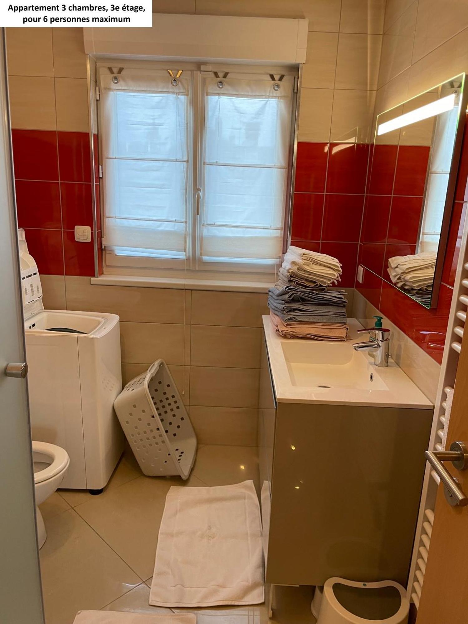 Appartements Centre Ville Colmar 4 Familles Dış mekan fotoğraf